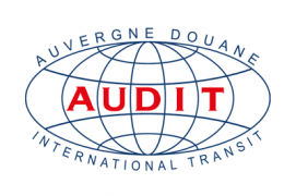 logo-audit-2021(2)